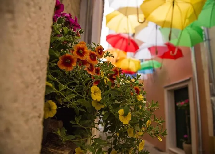 Apartament Blue Stars *