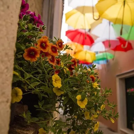 Appartement Blue Stars *