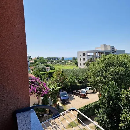 Blue Stars * Sveti Filip i Jakov